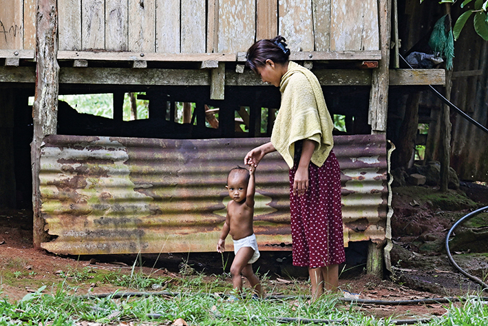 重生之路：珍尼湖的生态觉醒