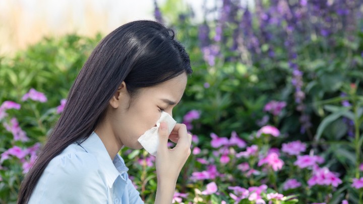 不养花、不碰花，为什么还会花粉过敏