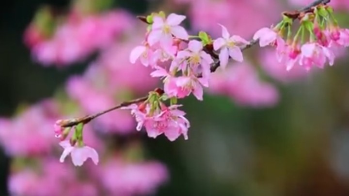春分时节，关注身体健康