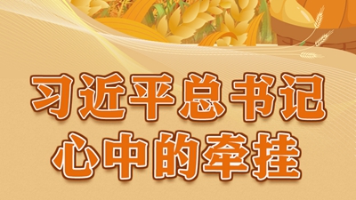 习近平总书记心中的牵挂